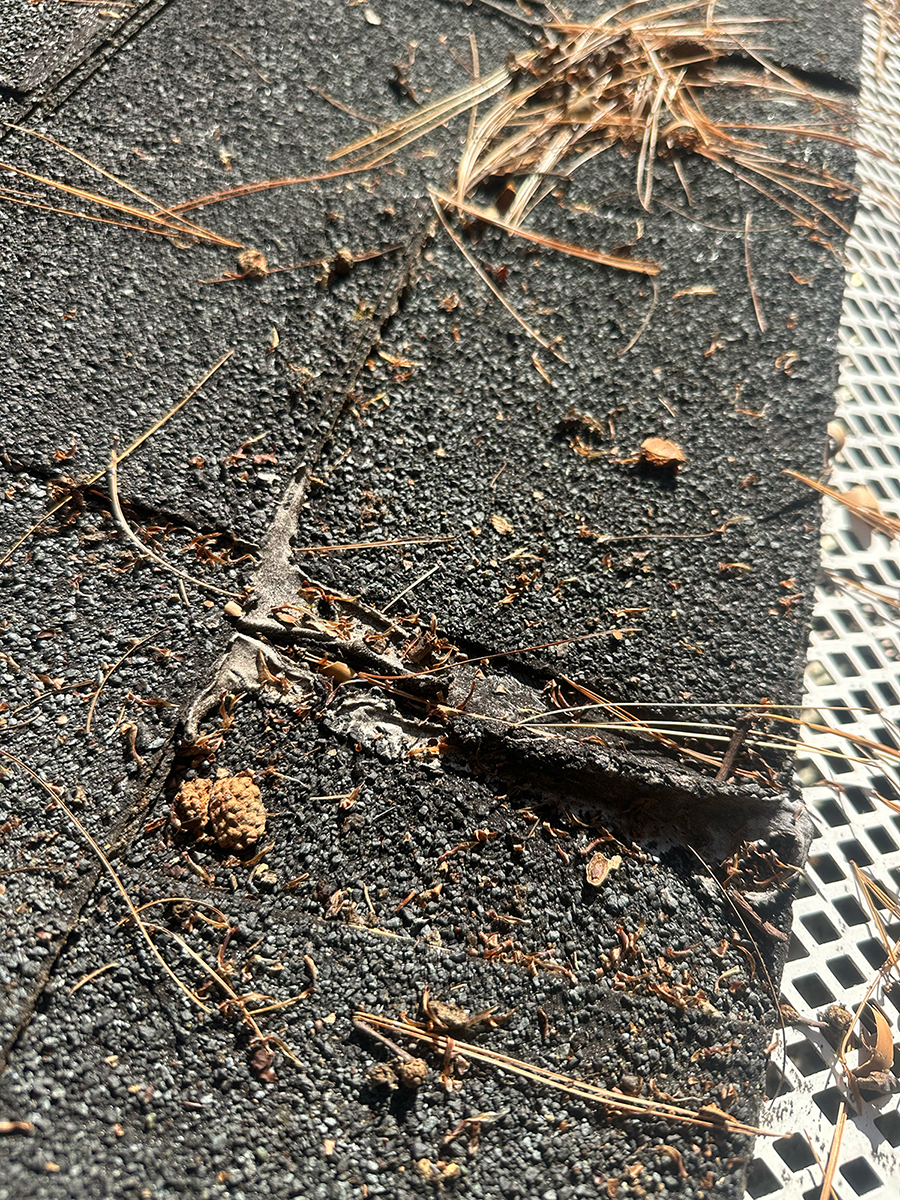 Storm damage repair photo 5